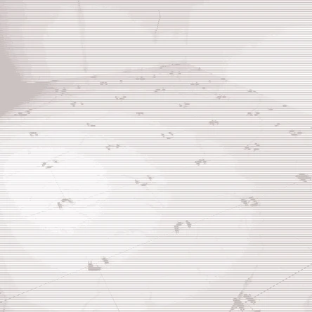 Укладка плитки